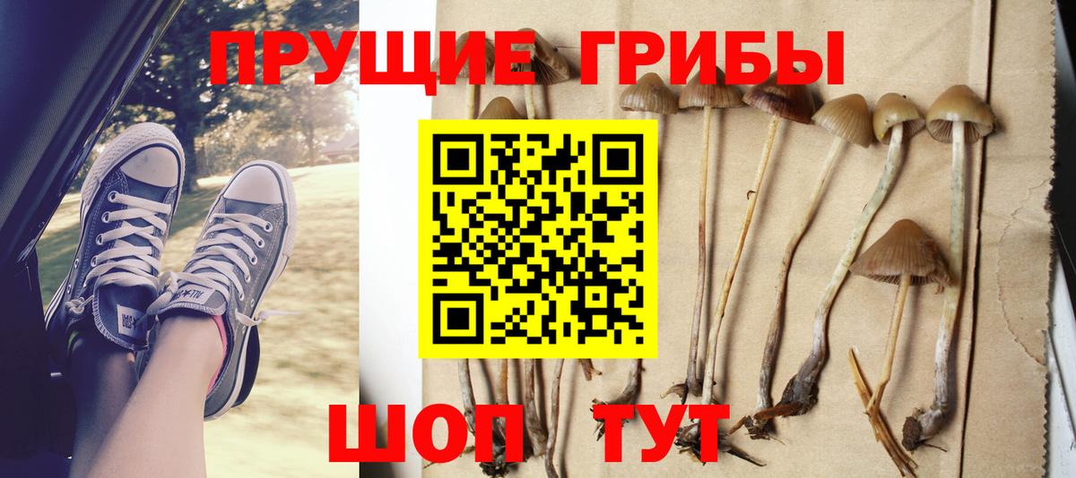 Псилоцибиновые грибы GOLDEN TEACHER  Вход с VPN  Можайск 