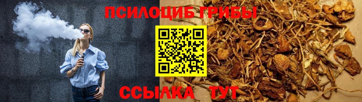 Галлюциногенные грибы прущие грибы Можайск